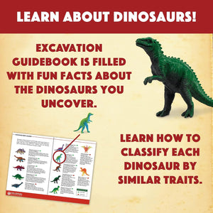 Dig It Up! Dinosaur Eggs Excavation Kit
