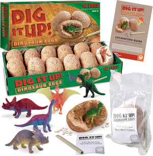 Dig It Up! Dinosaur Eggs Excavation Kit