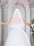 Bride To Be Embroidered Veil Bachelorette Party BachParty Accessory Bride To Be Headband White Bridal Veil Headpiece For Bridal Shower Engagement Party Wedding Bridesmaid Gift Clearance