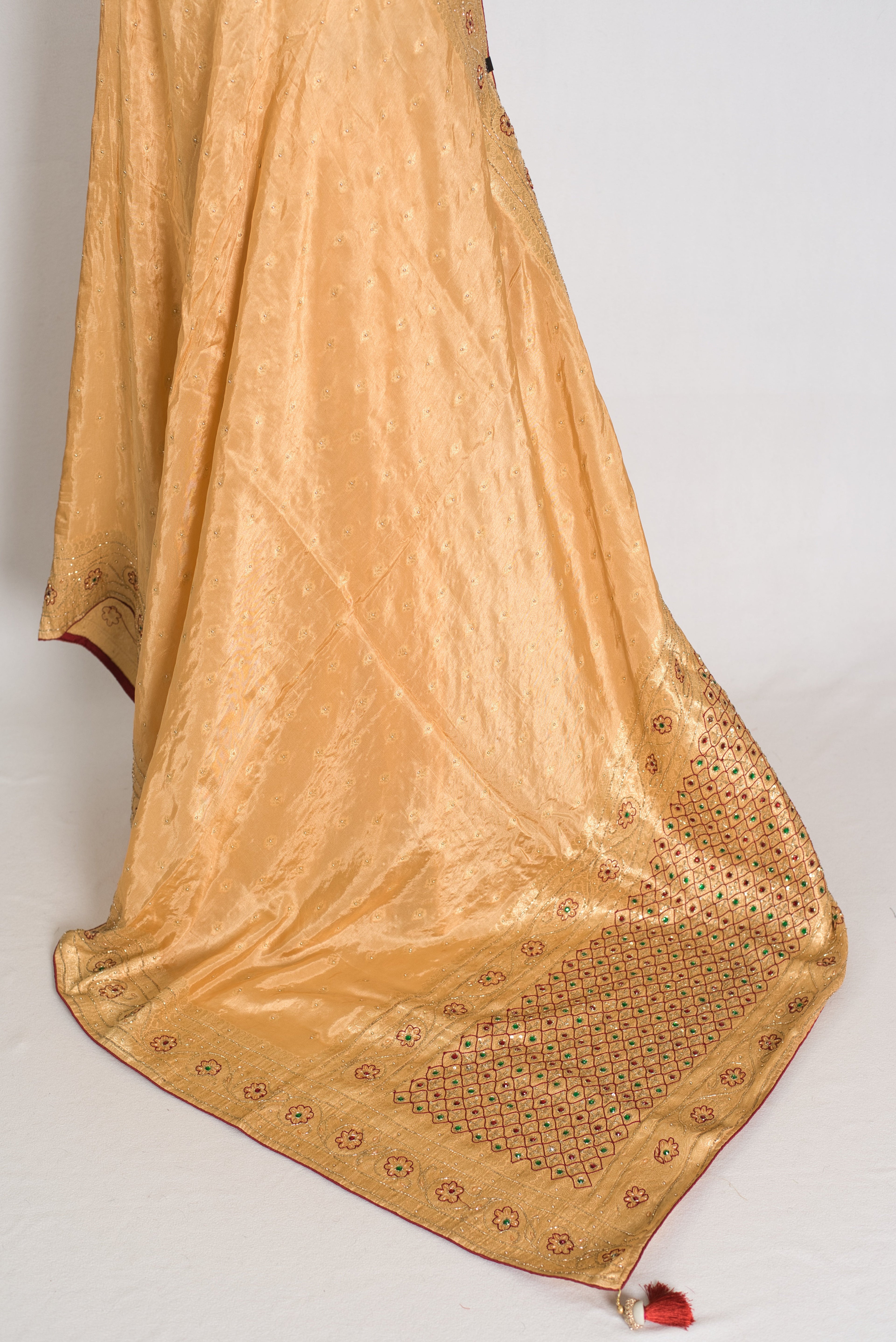 Benu : Beige and Gold Dola Silk Banarasi Saree with Hand-Embroidered Work