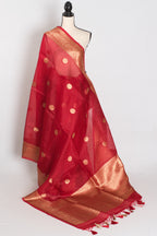 Ishq : Red and Gold Kora Organza Banarasi Saree with Stitched Blouse (Size 36)