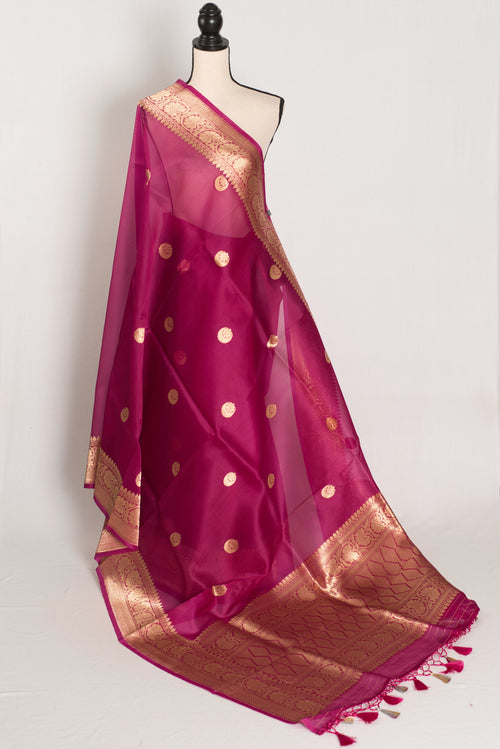 Gracy : Purple and Gold Chand Sitara Kora Organza Banarasi Saree