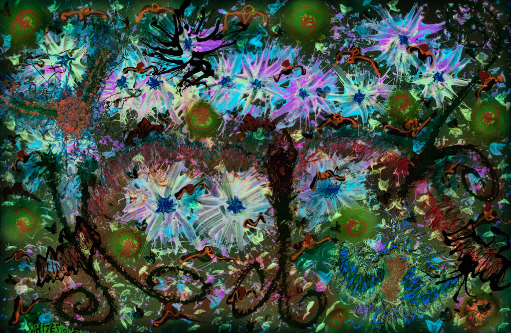 Night Root