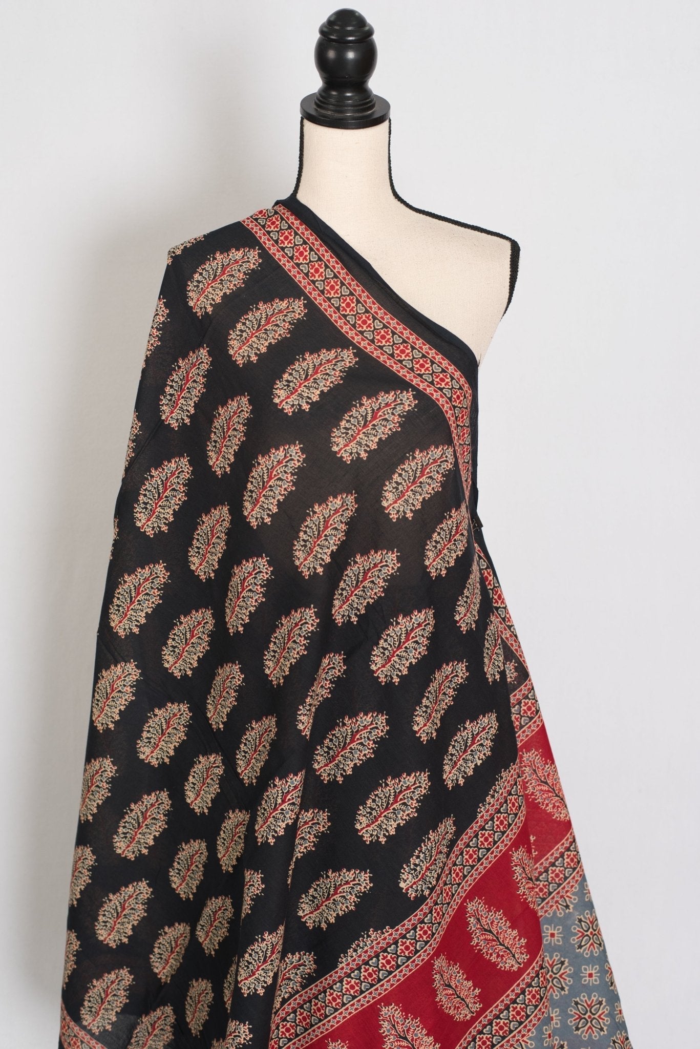 Kala: Black Mulmul Cotton Saree with Kalamkari Prints | Pure Cotton