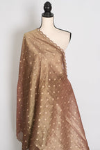 Rashmi: Brown Soft Tissue Saree with Hand Zardosi Embroidery | Partywear