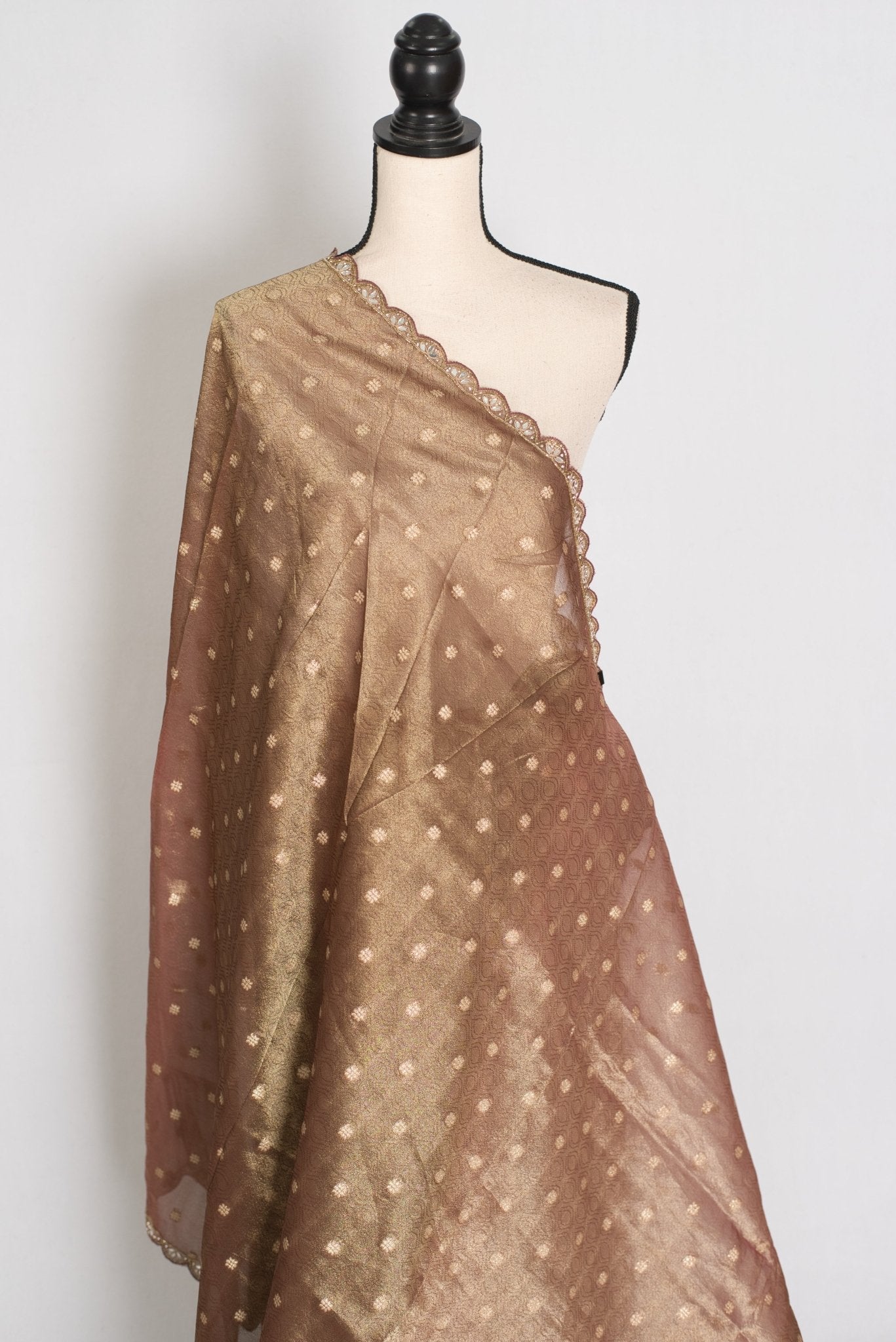 Rashmi: Brown Soft Tissue Saree with Hand Zardosi Embroidery | Partywear