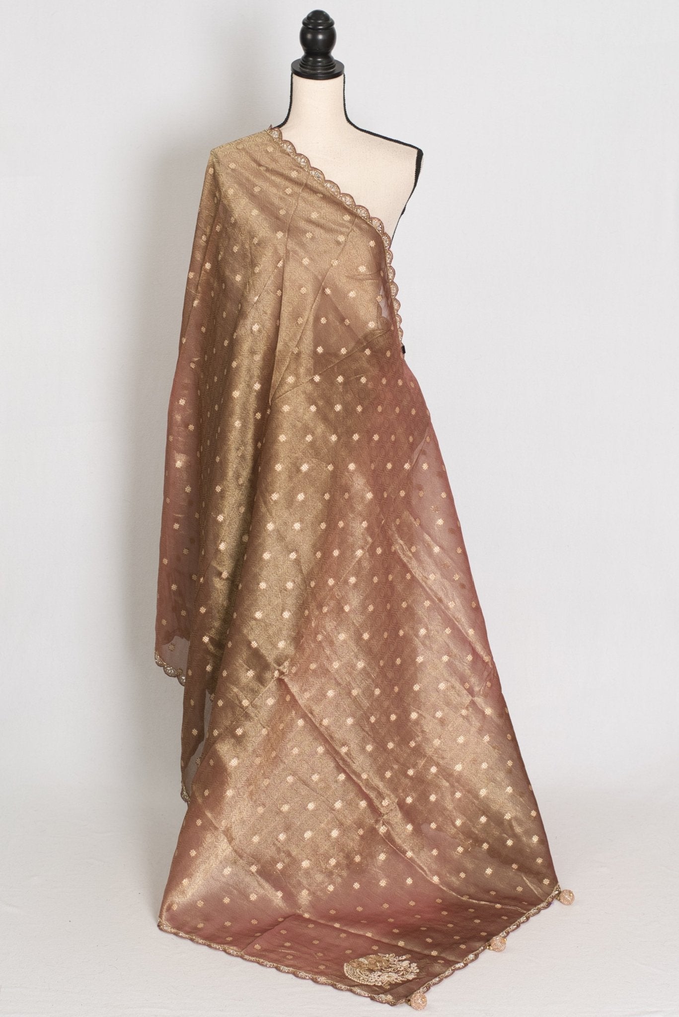 Rashmi: Brown Soft Tissue Saree with Hand Zardosi Embroidery | Partywear