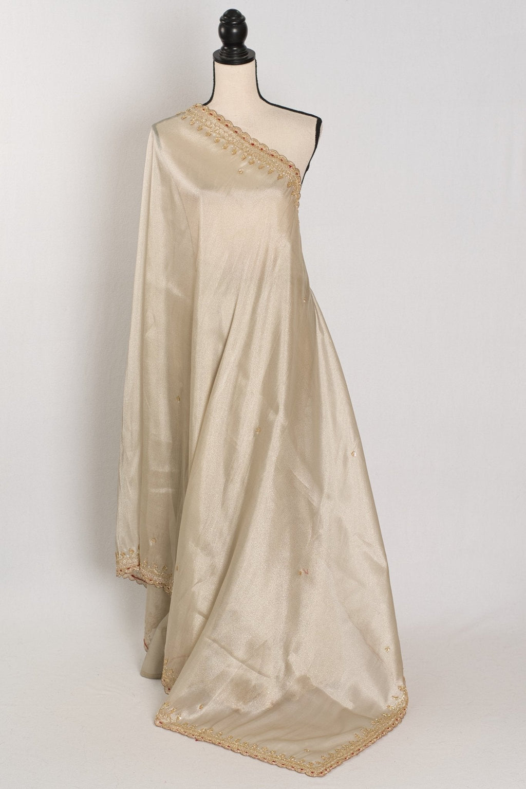 Rebecca : Tissue Designer Saree in Silver with Cut Dana Embroidery | Partywear