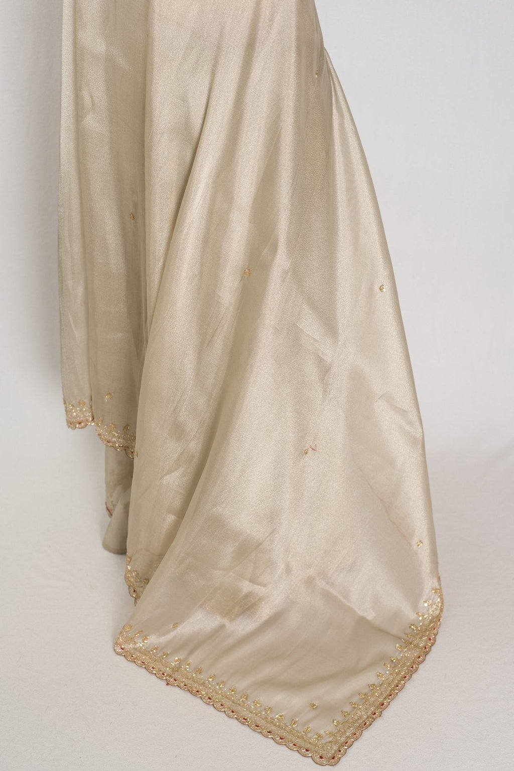 Rebecca : Tissue Designer Saree in Silver with Cut Dana Embroidery | Partywear